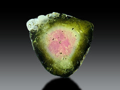 Watermelon Tourmaline Slices Lot from Afghanistan – 18 Pieces