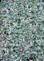 Pink & Green Tourmaline Crystals from Afghanistan – 410 g Mineral Lot