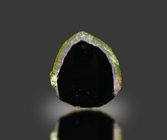 Watermelon Tourmaline Slices Lot from Afghanistan – 7 Pieces