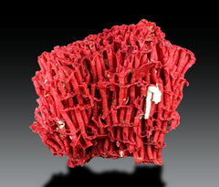 Red Coral Crystal Specimen Lot from Pakistan – 7 Pieces
