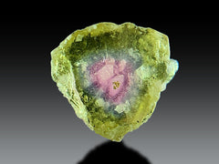 Watermelon Tourmaline Slices Lot from Afghanistan – 18 Pieces