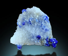 Natural Lazurite Crystal on Matrix from Afghanistan – 7 Piece Mineral Lot