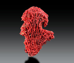 Red Coral Crystal Specimen Lot from Pakistan – 7 Pieces