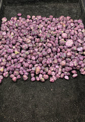 Ruby Crystals Lot from Afghanistan – Mineral Crystals