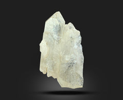 Citrine quartz specimen collection from Pakistan with a total weight of 203 g.