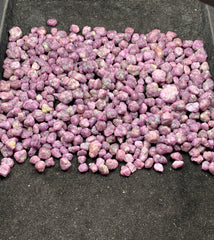 Ruby Crystals Lot from Afghanistan – Mineral Crystals