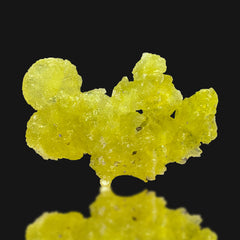 Yellow Brucite Crystal Lot from Baluchistan, Pakistan