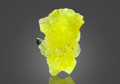 Brucite Crystals Lot from Baluchistan, Pakistan – 50 g | 19 Pieces