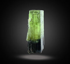 Natural Bi-Color Tourmaline from Afghanistan Total Weight 57g