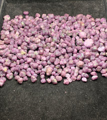 Ruby Crystals Lot from Afghanistan – Mineral Crystals