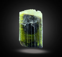 Natural Bi-Color Tourmaline from Afghanistan Total Weight 57g