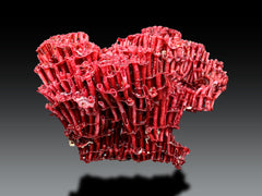 Red Coral Crystal Specimen Lot from Pakistan – 7 Pieces