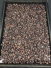 Red Garnet Crystals Lot from Pakistan