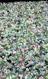 Pink & Green Tourmaline Crystals from Afghanistan – 410 g Mineral Lot