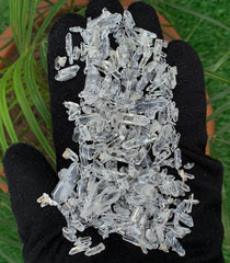 Clear Quartz Crystals from Pakistan – 62 g Crystal Lot