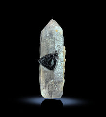 Quartz Crystals with Black Tourmaline from Pakistan – 416 g | 7 Pieces