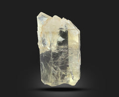 Citrine quartz specimen collection from Pakistan with a total weight of 203 g.