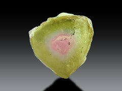Watermelon Tourmaline Slices Lot from Afghanistan – 18 Pieces
