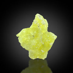 Brucite Specimen Lot from Baluchistan, Pakistan – 179 g | 17 Pieces