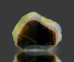 Watermelon Tourmaline Slices Lot from Afghanistan – 7 Pieces