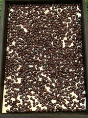 Red Garnet Crystals Rough Lot from Pakistan