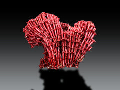 Red Coral Crystal Specimen Lot from Pakistan – 7 Pieces