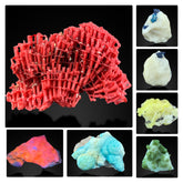 Red Coral Brucite Aragonite Lazurite Hackmanite Diopside Mixed Mineral Lot – 7 Specimens