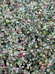 Pink & Green Tourmaline Rough Lot from Afghanistan – 448 g Mineral Lot
