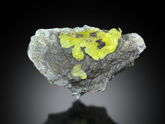Brucite Specimen Lot from Balochistan Pakistan – 7 Pieces
