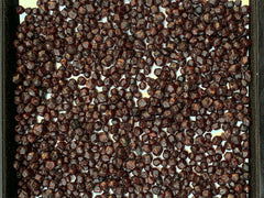 Red Garnet Crystals Rough Lot from Pakistan
