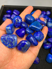 Lapis Lazuli Freeform Polished Stone from Afghanistan