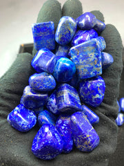 Natural Lapis Lazuli Freeforms from Afghanistan