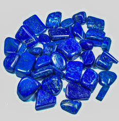 Polished Lapis Lazuli Freeform Lot from Afghanistan