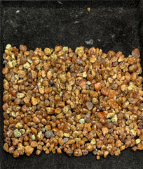 Orange Garnet Crystals Spessartine Rough from Pakistan – Crystal Lot