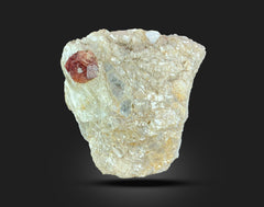 Natural Garnet Specimen from Pakistan