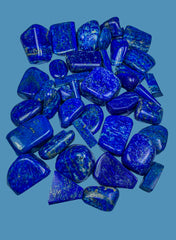 Polished Lapis Lazuli Freeform Lot from Afghanistan