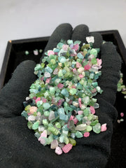 Bi-Color Tourmaline Short Crystals from Afghanistan – 205 g