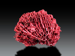 Red Coral Crystal Specimen Lot from Pakistan – 7 Pieces