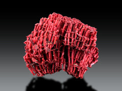 Red Coral Crystal Specimen Lot from Pakistan – 7 Pieces