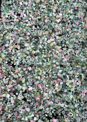 Pink & Green Tourmaline Crystals from Afghanistan – 410 g Mineral Lot