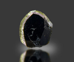 Watermelon Tourmaline Slices Lot from Afghanistan – 7 Pieces