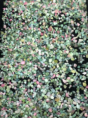Mixed Color Tourmaline Crystals from Afghanistan – 273 g Mineral Lot