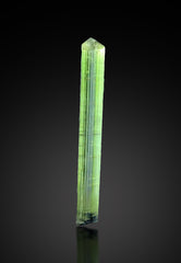 Green Cap Tourmaline Crystals from Pakistan – 11 Piece 22 g Lot