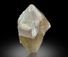 Smoky Quartz Crystals Lot | 997 g | Lot of 6