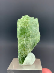 Diopside Crystals from Afghanistan