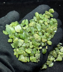 Short Peridot Crystals from Pakistan – 178 g Mineral Lot