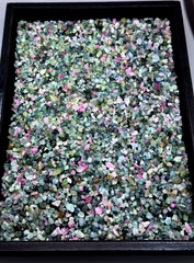 Mixed Color Tourmaline Crystals from Afghanistan – 385 g Mineral Lot