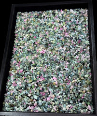 Mixed Color Tourmaline Crystals from Afghanistan – 385 g Mineral Lot