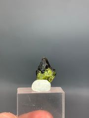 Vesuvianite, Epidote, Andradite Garnet & Magnetite Pakistan