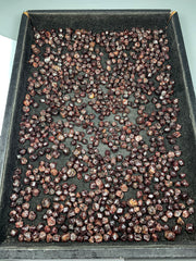 Natural Red Garnet Crystals Rough Lot from Pakistan